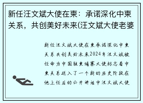 新任汪文斌大使在柬：承诺深化中柬关系，共创美好未来(汪文斌大使老婆)